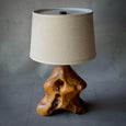 Naturalist Table Lamp