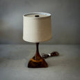 Naturalist Lamp