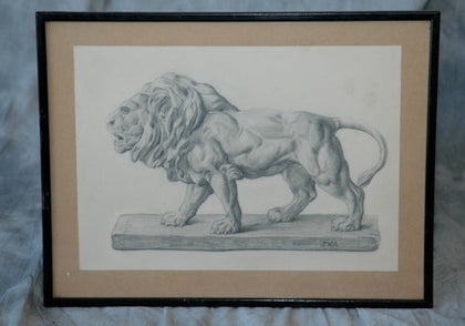 Drawing of Lion