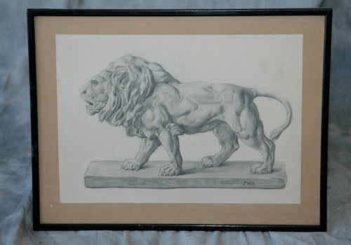 Drawing of Lion