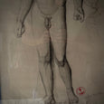 Charcoal Drawing