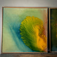 Paintings by Lucien Beniere