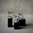 MOUNTED MODELS OF DOGS
