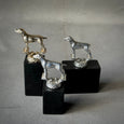 MOUNTED MODELS OF DOGS